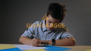 Responsabilidad Social, Bien Público, Diversidad e Inclusión
Oro: “Querida Agus”, de Fundación Down Up + MMG Moov Media Group